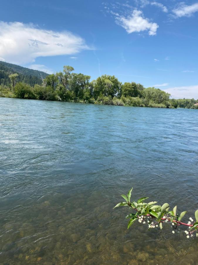 Snake River Glamping Irwin Exteriör bild